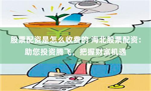 股票配资是怎么收费的 海北股票配资：助您投资腾飞，把握财富机遇